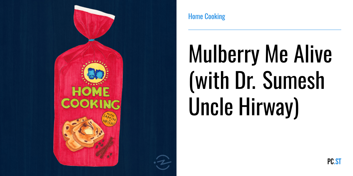 Mulberry Me Alive (with Dr. Sumesh Uncle Hirway) – Home Cooking – PC.ST